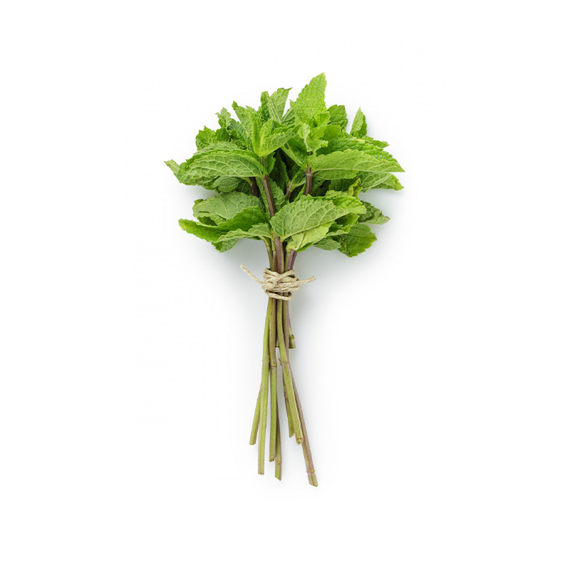 Menthe
